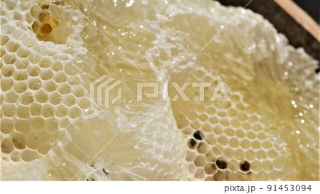 盛り上げ巣 超純粋蜂蜜 盛り上げ巣 超純粋蜂蜜 91453094