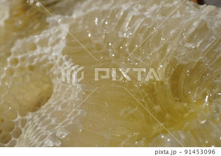 盛り上げ巣 超純粋蜂蜜 盛り上げ巣 超純粋蜂蜜 91453096