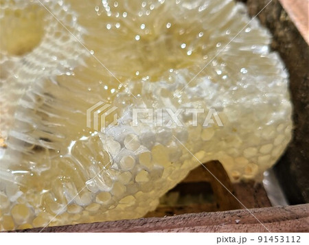盛り上げ巣 超純粋蜂蜜 盛り上げ巣 超純粋蜂蜜 91453112