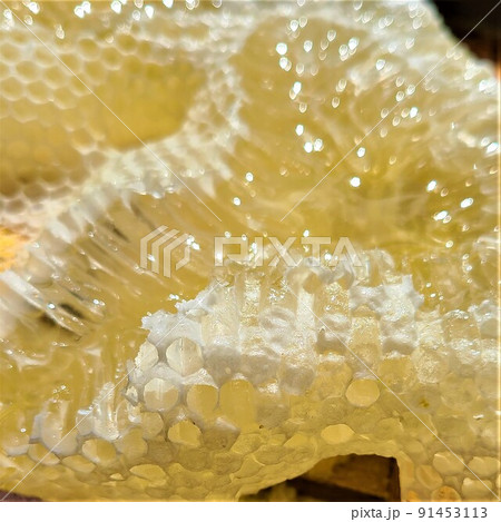 盛り上げ巣 超純粋蜂蜜 盛り上げ巣 超純粋蜂蜜 91453113