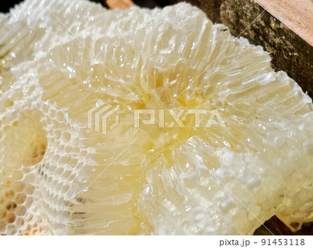 盛り上げ巣 超純粋蜂蜜 盛り上げ巣 超純粋蜂蜜 91453118