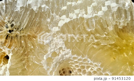 盛り上げ巣 超純粋蜂蜜 盛り上げ巣 超純粋蜂蜜 91453120