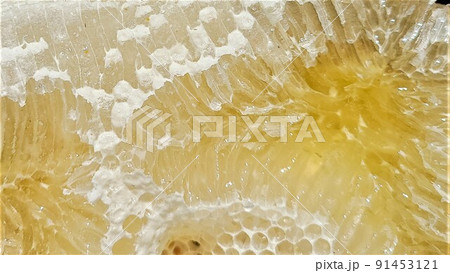 盛り上げ巣 超純粋蜂蜜 盛り上げ巣 超純粋蜂蜜 91453121