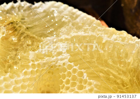 盛り上げ巣 超純粋蜂蜜 盛り上げ巣 超純粋蜂蜜 91453137