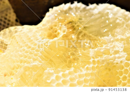 盛り上げ巣 超純粋蜂蜜 盛り上げ巣 超純粋蜂蜜 91453138