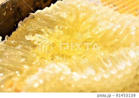 盛り上げ巣 超純粋蜂蜜 盛り上げ巣 超純粋蜂蜜 91453139