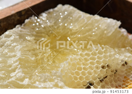 盛り上げ巣 超純粋蜂蜜 盛り上げ巣 超純粋蜂蜜 91453173