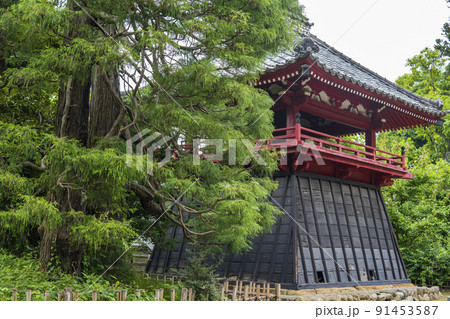 岩殿山息障院光明寺の袴腰鐘楼とヒノキの大木【源範頼館跡】／埼玉県比企郡吉見町 91453587