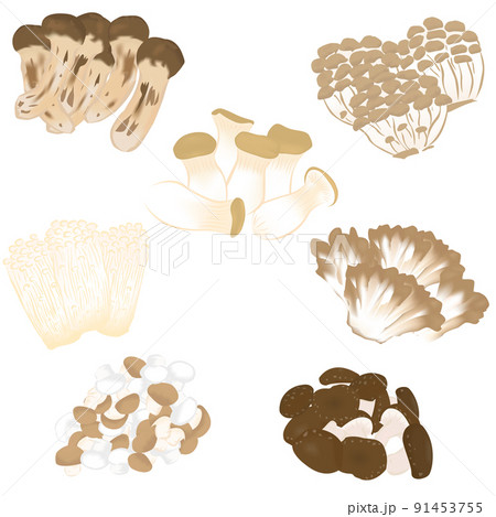 きのこのイラスト きのこのイラスト 91453755