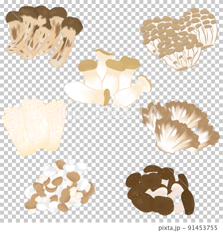 きのこのイラスト きのこのイラスト 91453755