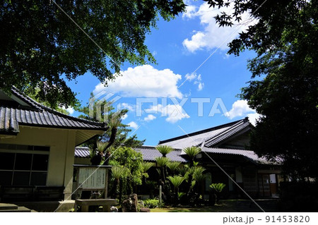 感応寺 島津家菩提寺(日本最初の禅寺) 感応寺 島津家菩提寺(日本最初の禅寺) 91453820