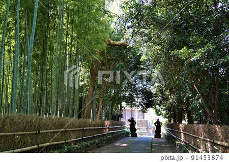 感応寺　島津家菩提寺（日本最初の禅寺） 91453874