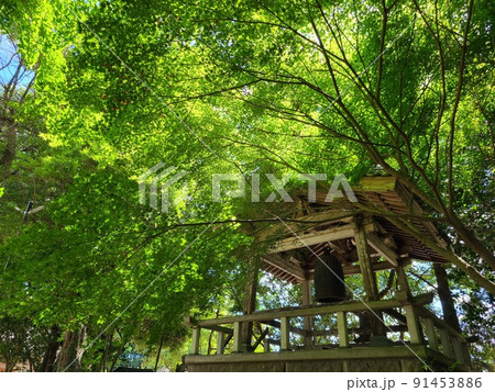 感応寺　島津家菩提寺（日本最初の禅寺） 91453886