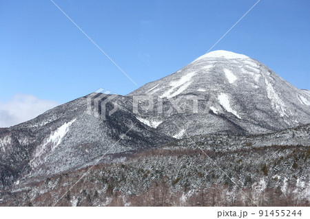 青空に映える雪山(蓼科山 坪庭自然園 長野県 茅野市) 青空に映える雪山(蓼科山 坪庭自然園 長野県 茅野市) 91455244