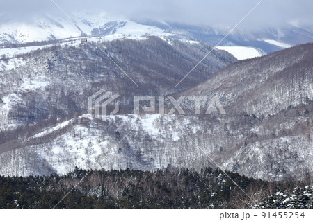 雪景色（北横岳　坪庭自然園　長野県 茅野市） 91455254