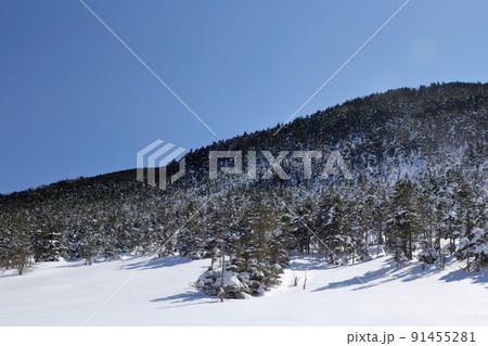 真冬の雪山（北横岳　坪庭自然園　長野県 茅野市） 91455281