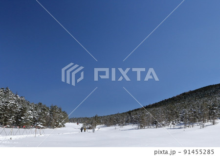 なだらかな山裾が広がる雪山風景（北横岳　坪庭自然園　長野県 茅野市） 91455285