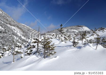 真冬の雪山（北横岳　坪庭自然園　長野県 茅野市） 91455303