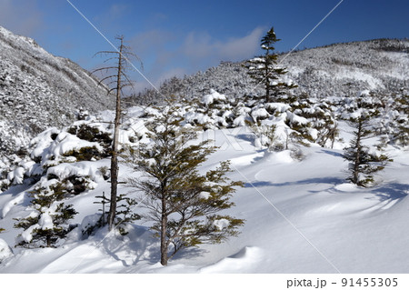 真冬の雪山（北横岳　坪庭自然園　長野県 茅野市） 91455305