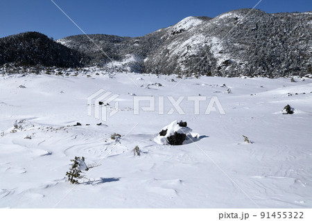 真冬の雪山(北横岳 坪庭自然園 長野県 茅野市) 真冬の雪山(北横岳 坪庭自然園 長野県 茅野市) 91455322