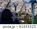 金沢城のライトアップされた美しい夜桜を撮影する人々 91455525