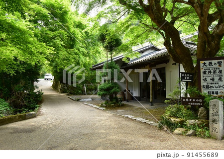 京都市大原 大原女の小径(花の道)と新緑 京都市大原 大原女の小径(花の道)と新緑 91455689