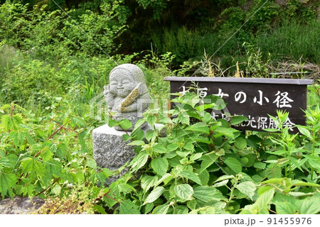 京都市 大原女の小径(花の道)と大原女石像 京都市 大原女の小径(花の道)と大原女石像 91455976