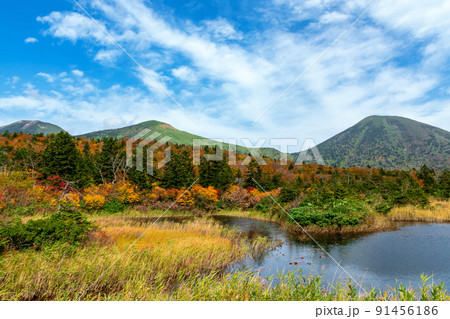 【青森県八甲田山】紅葉に映える睡蓮沼と北八甲田連峰。八甲田は日本有数の紅葉スポットと言われる。 【青森県八甲田山】紅葉に映える睡蓮沼と北八甲田連峰。八甲田は日本有数の紅葉スポットと言われる。 91456186