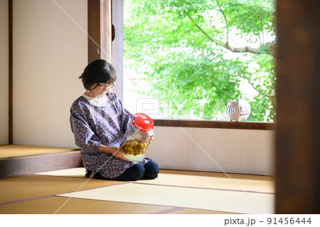 夏の日本のイメージ 91456444