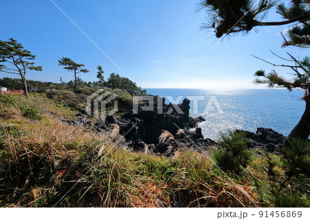 済州島 夏 海 91456869