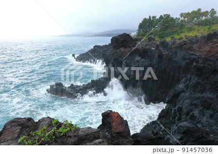 済州島 夏 海 91457036
