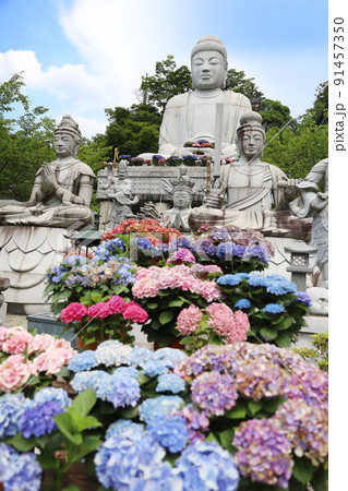 壷阪寺　奈良県 91457350