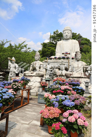 壷阪寺 奈良県 壷阪寺 奈良県 91457366