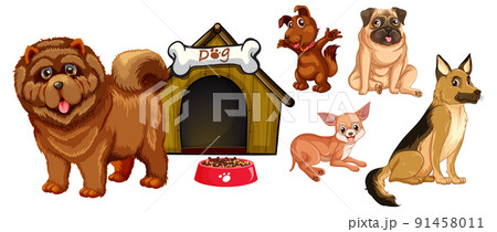 Set of different cute dogs in cartoon style Set of different cute dogs in cartoon style 91458011