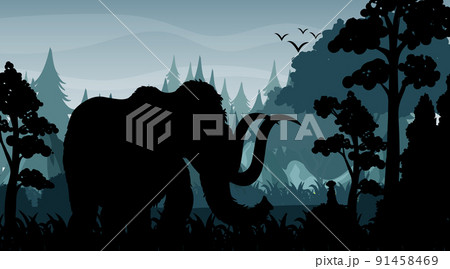Silhouette shadow of forest scene Silhouette shadow of forest scene 91458469