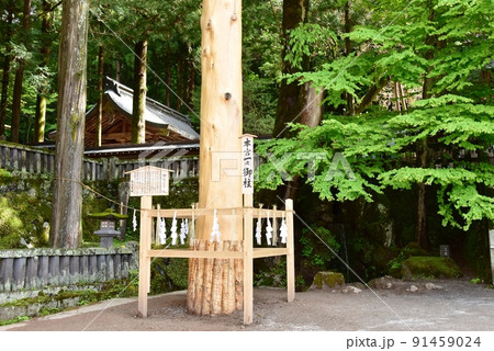 長野県諏訪市 諏訪大社上社本宮境内の一之御柱と新緑 長野県諏訪市 諏訪大社上社本宮境内の一之御柱と新緑 91459024