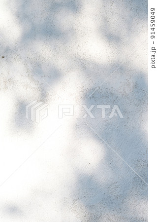 A wall with shadows from leaves. Abstract background. A wall with shadows from leaves. Abstract background. 91459049
