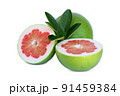 fresh grapefruit organic isolated on white background 91459384