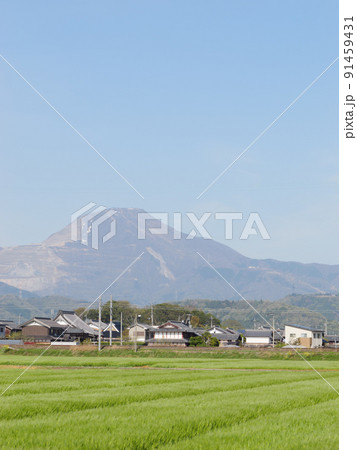 春の晴れた日、畑の向こうに見える伊吹山。 春の晴れた日、畑の向こうに見える伊吹山。 91459431