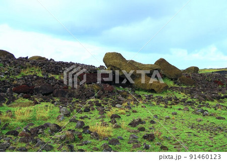 イースター島のアフ・アカハンガの倒れたモアイ 91460123