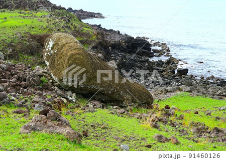 イースター島のアフ・アカハンガの倒れたモアイ 91460126