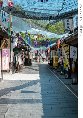 夏の桜の馬場 城彩苑 91461447