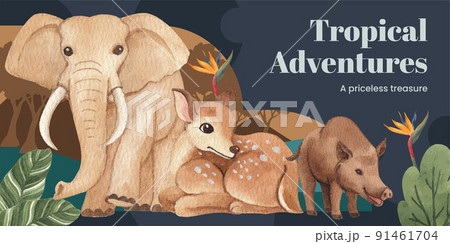 Blog header template with tropical wildlife concept,watercolor style 91461704