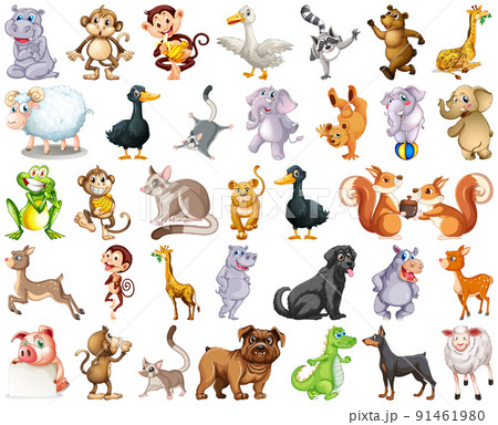 Set of animal cartoon character 91461980