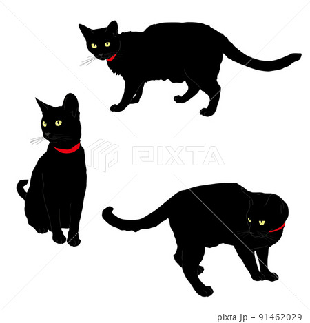 黒猫 3ポーズ 座る 歩く 振り返るのイラスト素材