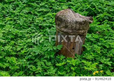 Ancient wooden beehive in old rural apiary 91462410