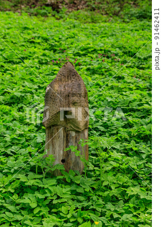 Ancient wooden beehive in old rural apiary 91462411