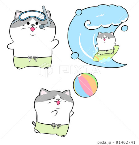 海で遊ぶゆるかわハチワレ猫　3点セット② 91462741