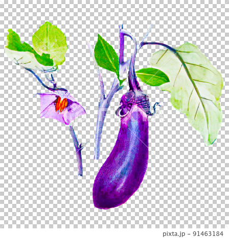 なすびの絵画 なすびの絵画 【公式通販】