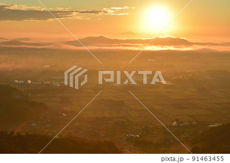 大小山山頂南側小ピークから朝日に光る雲海に浮かぶ三毳山、遠く筑波山から昇る朝日を見る 大小山山頂南側小ピークから朝日に光る雲海に浮かぶ三毳山、遠く筑波山から昇る朝日を見る 91463455